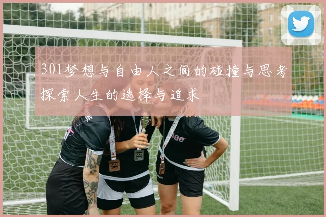 301梦想与自由人之间的碰撞与思考探索人生的选择与追求