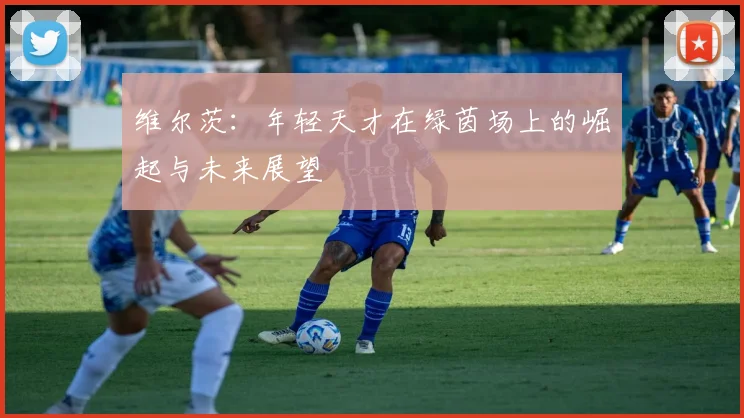 维尔茨：年轻天才在绿茵场上的崛起与未来展望