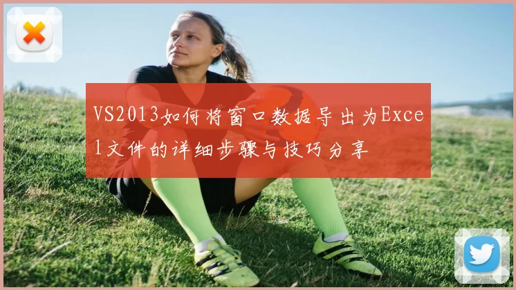 VS2013如何将窗口数据导出为Excel文件的详细步骤与技巧分享