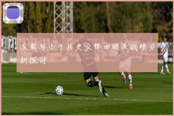 灰熊与小牛历史交锋回顾及战绩分析探讨