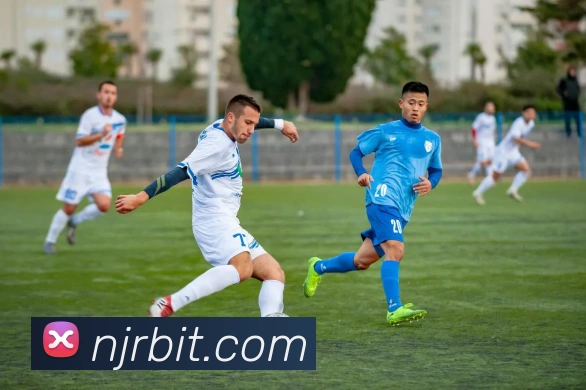 App Interface Preview